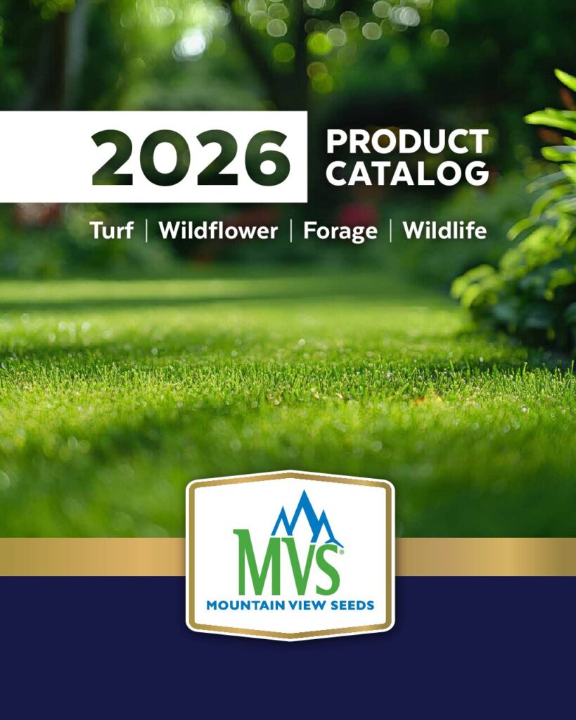 2026 MVS Retail Product Catalog