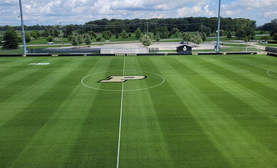 University turf research