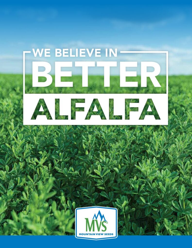 MVS Better Alfalfa Brochure