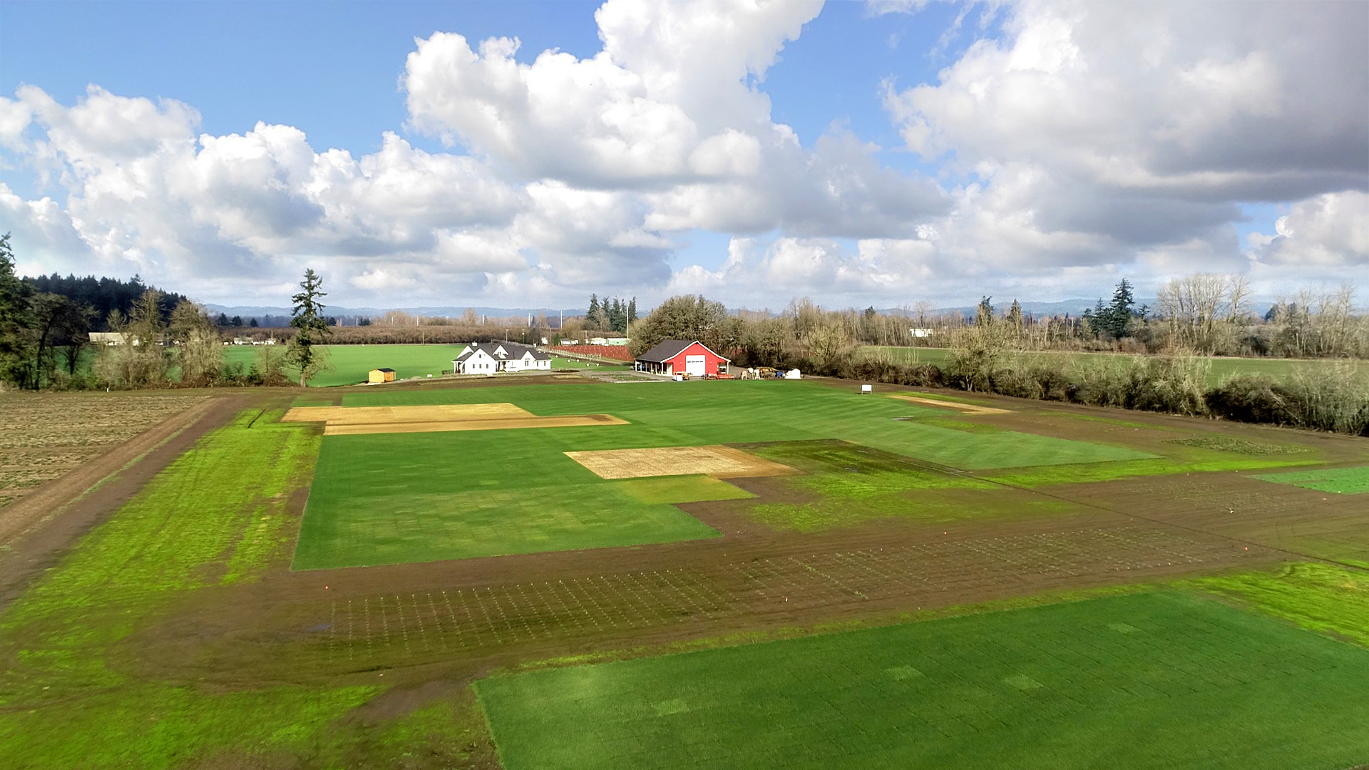 Research field overview