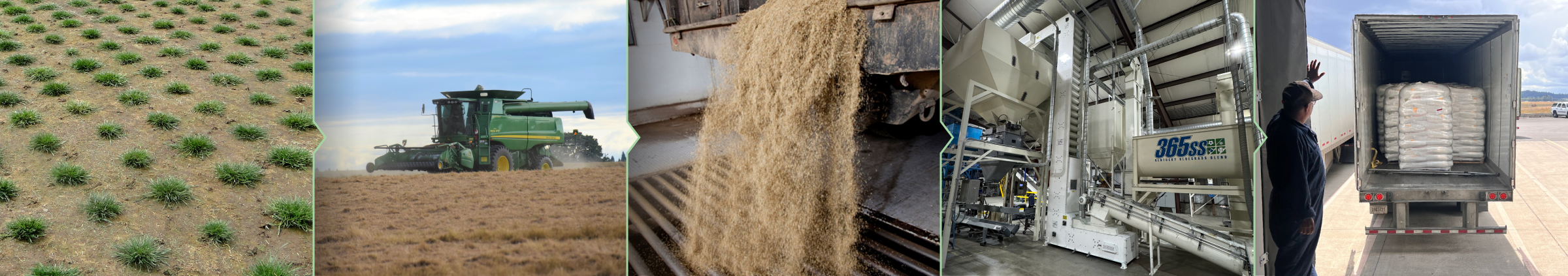 Start to finish process image