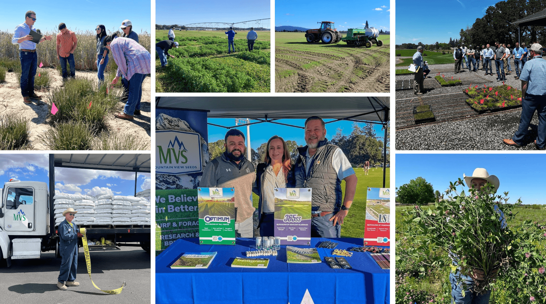 Mountain View Seeds team and event collage