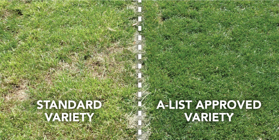 A-LIST turf comparison image