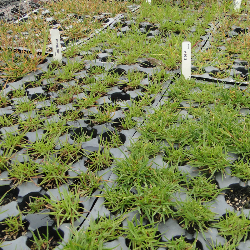 Research field overview