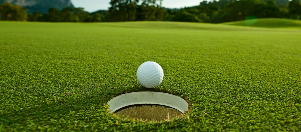 Centennial bentgrass