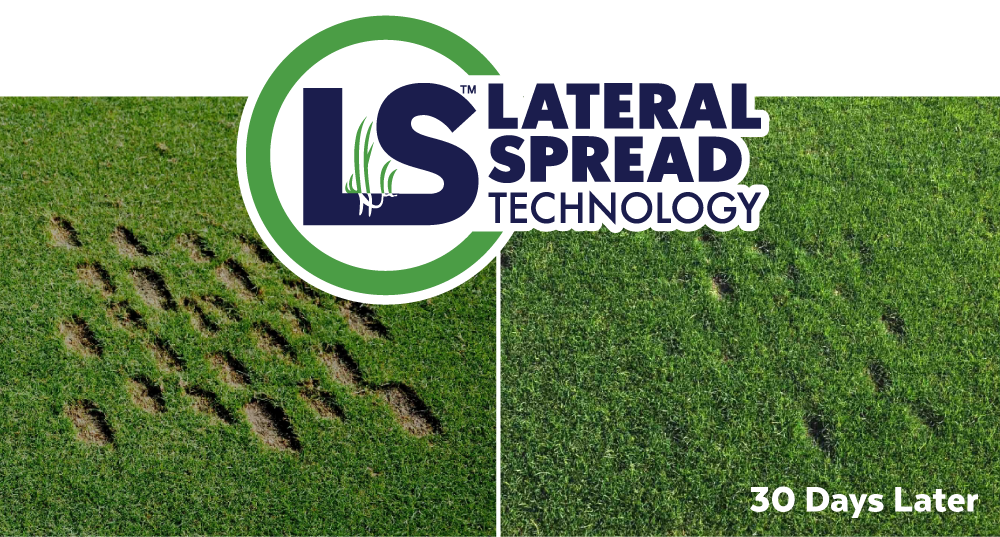 Self-Repairing Lateral Spread — 30 Days Later