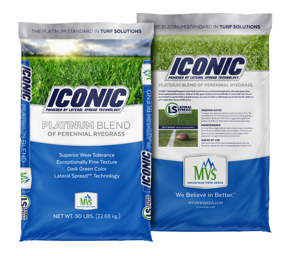 Iconic Perennial Ryegrass Blend