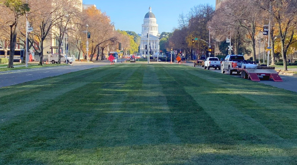 Capitol Hill Sod Installation