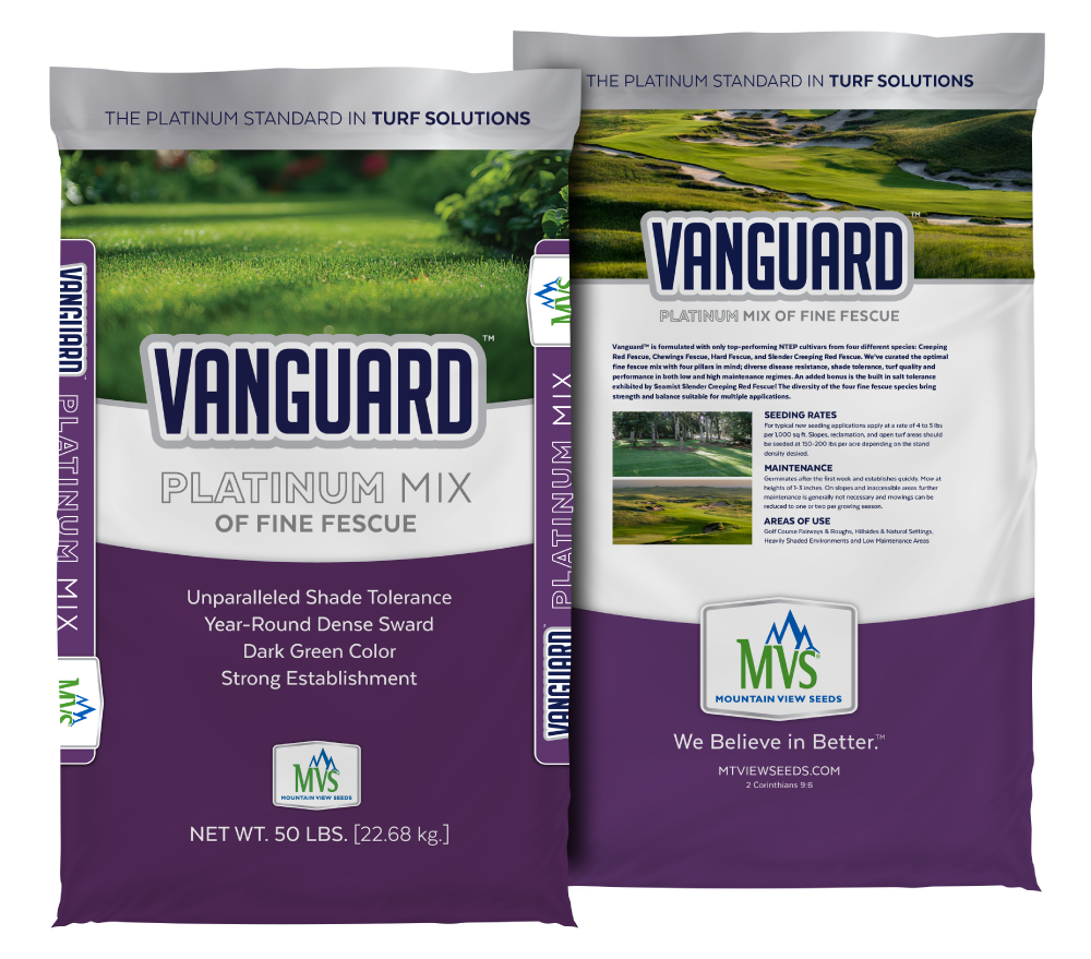 Vanguard Fine Fescue Mix