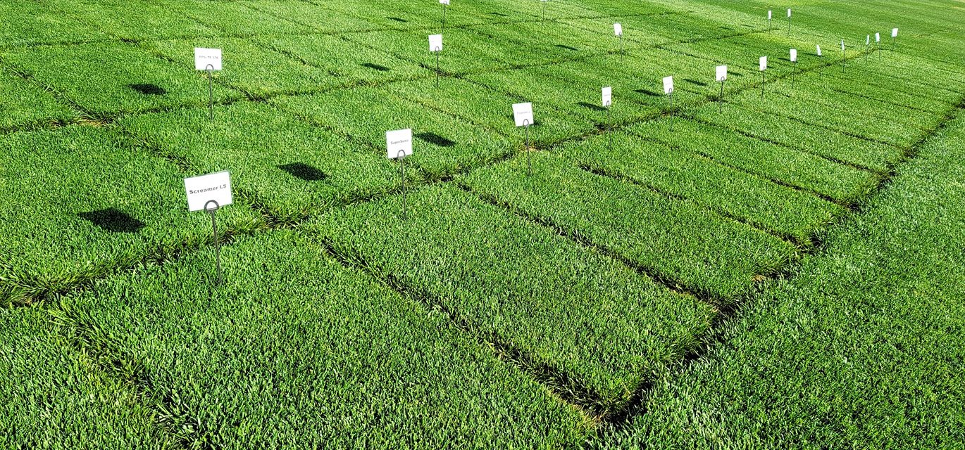 Third party testing turf plots