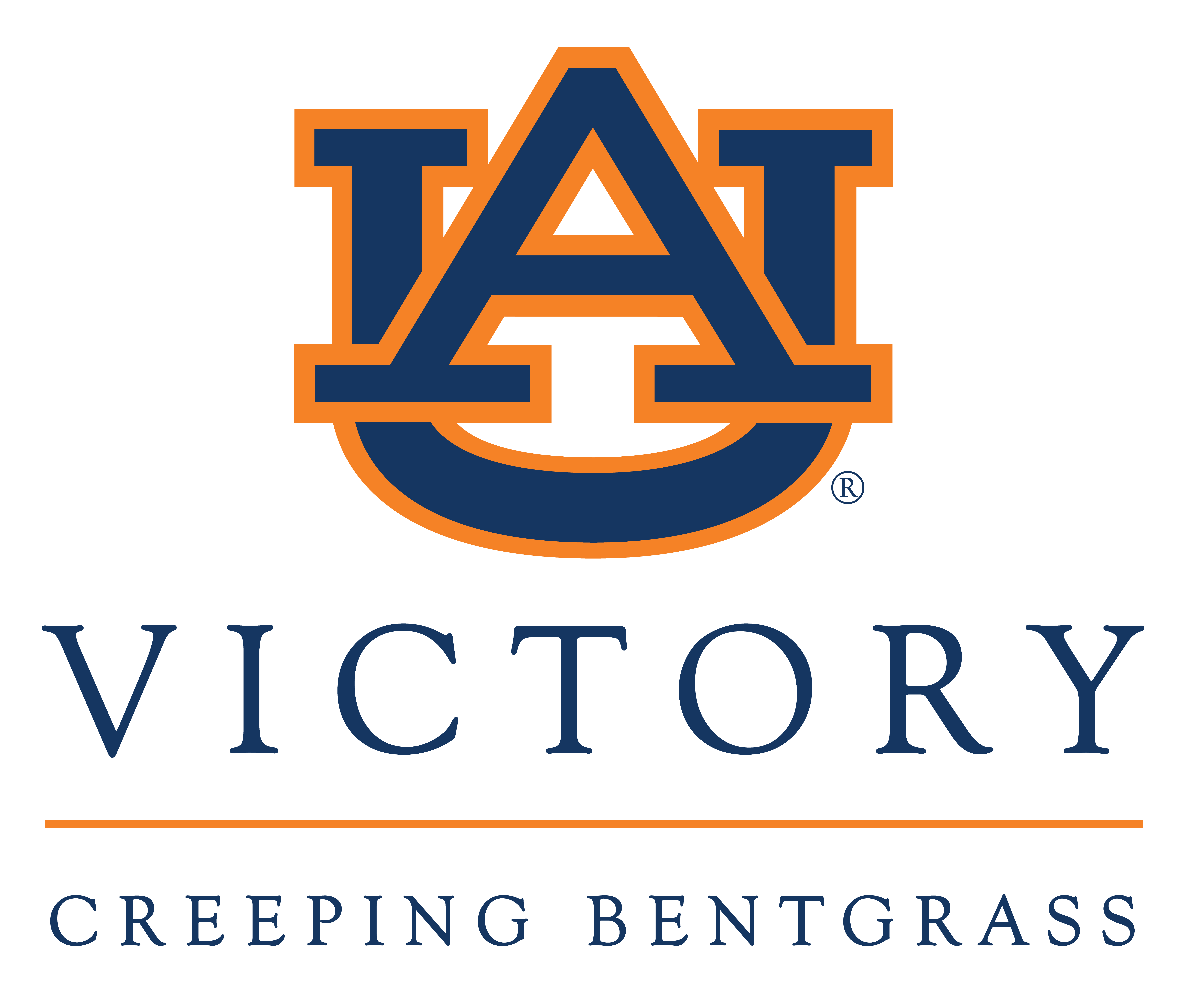 AU Victory Creeping Bentgrass